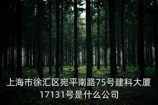 上海市徐匯區(qū)宛平南路75號(hào)建科大廈17131號(hào)是什么公司