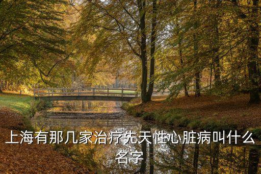 上海市心臟病團隊，上海有那幾家治療先天性心臟病叫什么名字