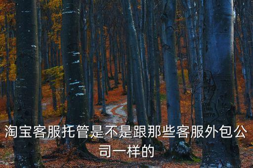 淘寶客服托管是不是跟那些客服外包公司一樣的