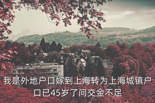 我是外地戶口嫁到上海轉為上海城鎮戶口已45歲了問交金不足