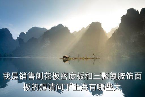 我是銷售刨花板密度板和三聚氰胺飾面板的想請問下上海有哪些大