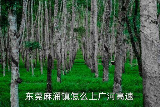 麻涌上廣州的高速入口，東莞市麻涌鎮高速入口有幾個
