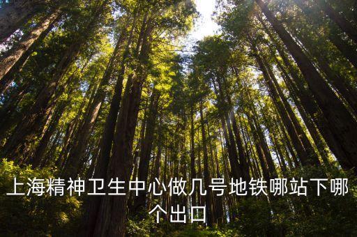 上海精神衛(wèi)生中心做幾號(hào)地鐵哪站下哪個(gè)出口