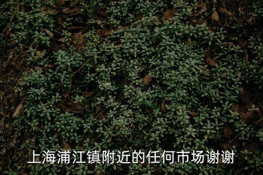 上海市浦江鎮智隆雪佛蘭，上海市浦東浦江鎮聯航路1188號浦江智谷7號C201是哪個公司