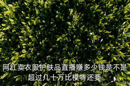 網紅賣衣服護膚品直播賺多少錢是不是超過幾十萬比模特還要