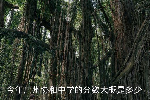今年廣州協和中學的分數大概是多少
