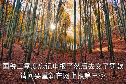 國稅三季度忘記申報了然后去交了罰款請問要重新在網上報第三季