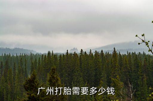 廣州打胎需要多少錢
