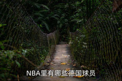 NBA里有哪些德國球員