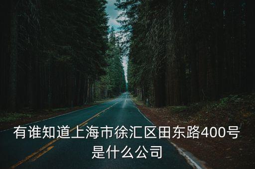 有誰知道上海市徐匯區田東路400號是什么公司