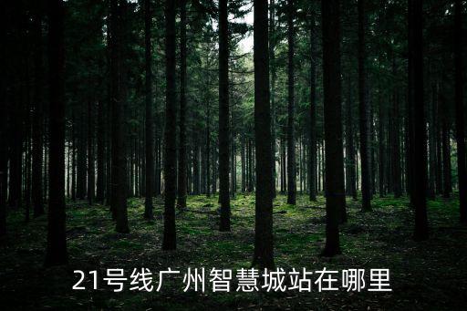 21號線廣州智慧城站在哪里
