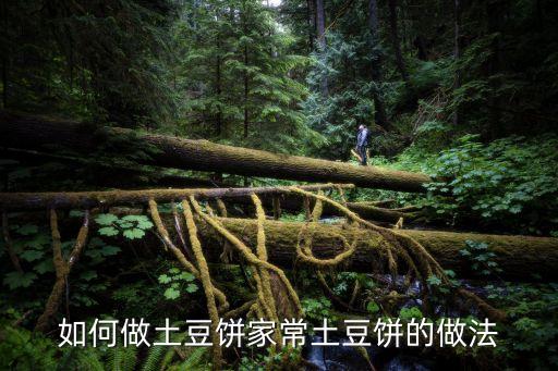 如何做土豆餅家常土豆餅的做法