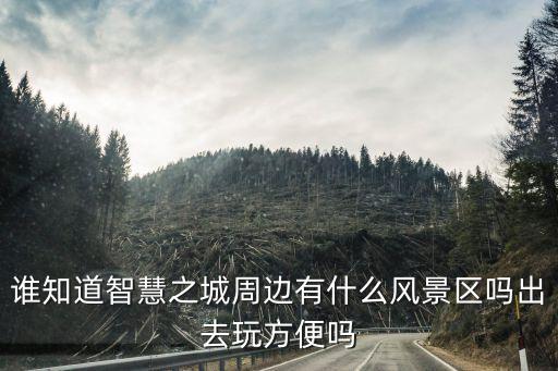 誰知道智慧之城周邊有什么風景區嗎出去玩方便嗎
