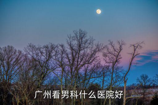廣州看男科什么醫(yī)院好
