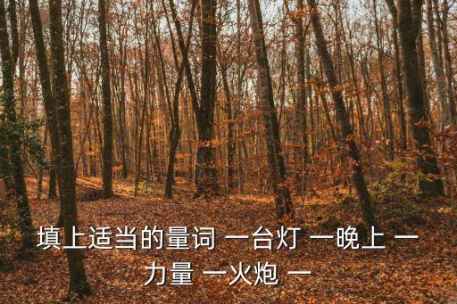 填上適當(dāng)?shù)牧吭~ 一臺燈 一晚上 一力量 一火炮 一