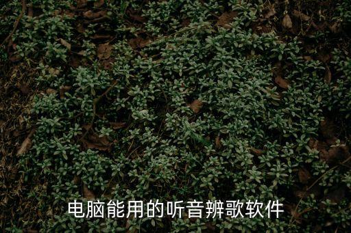 電腦能用的聽音辨歌軟件