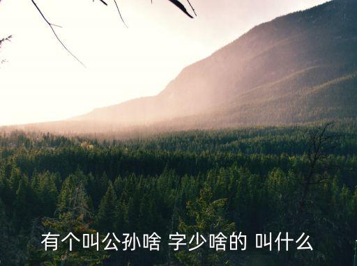 有個(gè)叫公孫啥 字少啥的 叫什么