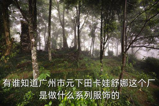 有誰(shuí)知道廣州市元下田卡娃舒娜這個(gè)廠是做什么系列服飾的