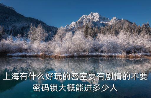 上海有什么好玩的密室要有劇情的不要密碼鎖大概能進多少人