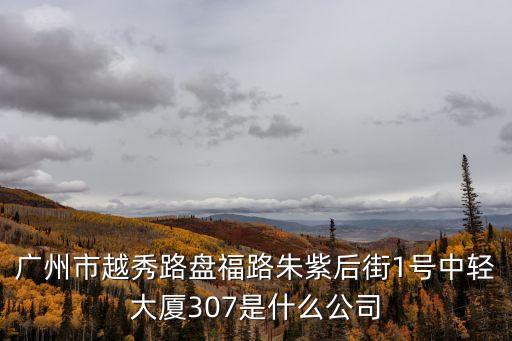 廣州市越秀路盤福路朱紫后街1號中輕大廈307是什么公司