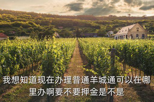 現在廣州辦羊城通要押金嗎，辦羊城通要30元押金的那卡不要錢嗎只要30元做押金就行了嗎