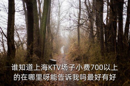 上海市華庭匯娛樂會所，誰知道上海KTV場子小費700以上的在哪里呀能告訴我嗎最好有好