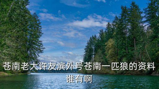 蒼南老大許友濱外號蒼南一匹狼的資料誰有啊