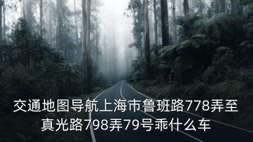 交通地圖導(dǎo)航上海市魯班路778弄至真光路798弄79號(hào)乖什么車