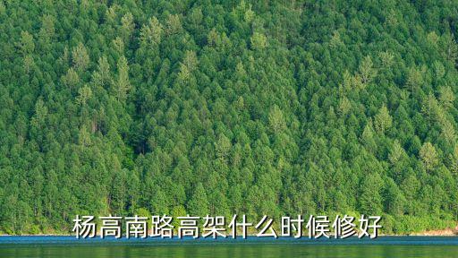 上海市楊高南路二標段，外地車上海楊高南路限行嗎