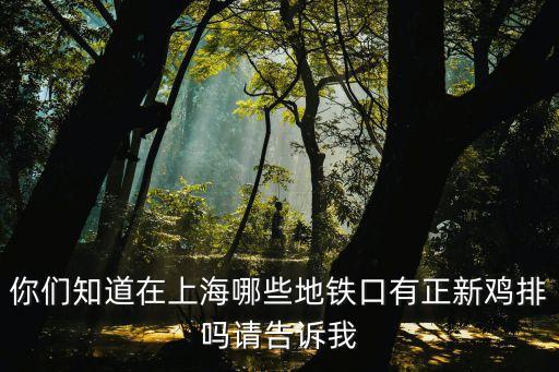 上海市正新雞排幸筑廣場店，開心OL 幸運至尊值多少靈石