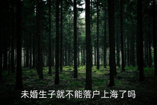 上海市非婚生子落戶，上海未婚生子能上戶口嗎