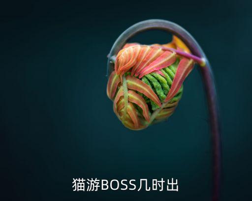 91boss混血哥廣州大戰，導演王家衛 主演梁朝偉 宋慧喬 章子怡張震趙本山趙晨