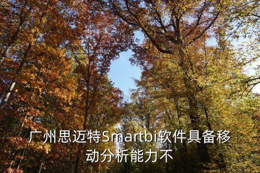 廣州思邁特研發(fā)筆試，廣州思邁特商業(yè)智能軟件kingbase Smartbi有怎樣的優(yōu)勢(shì)