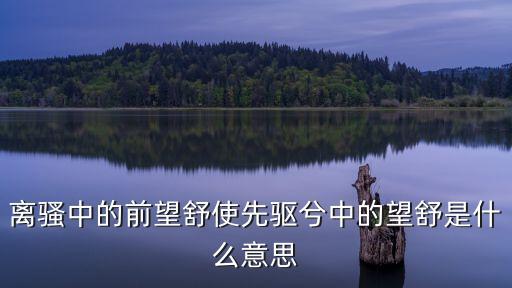 離騷中的前望舒使先驅(qū)兮中的望舒是什么意思