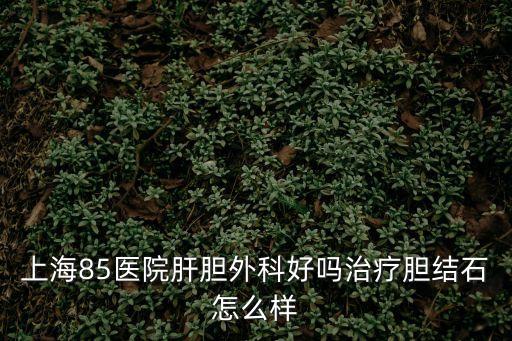 上海市肝膽外科醫院總院在哪里，上海85醫院肝膽外科好嗎治療膽結石怎么樣