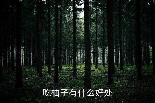吃柚子的好處，吃柚子有什么好處