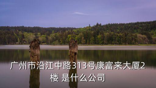 廣州子君企業有限公司，廣州市沿江中路313號康富來大廈2樓 是什么公司