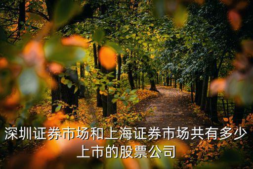 上海市智能網聯汽車發布會，VS 2010在上海的發布會地點在哪里