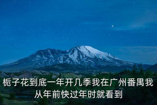 梔子花到底一年開幾季我在廣州番禺我從年前快過年時就看到