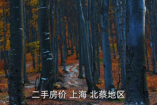 二手房價 上海 北蔡地區