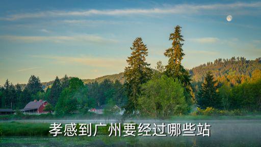 孝感到廣州要經過哪些站