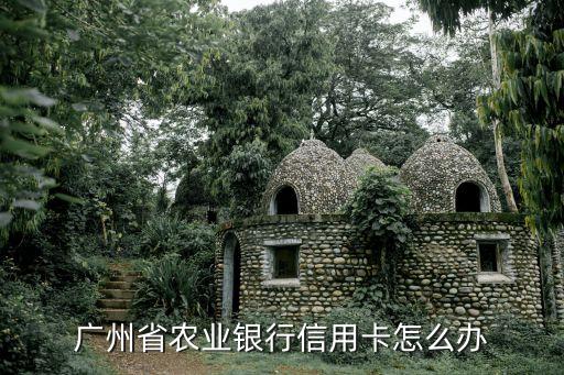 農(nóng)行廣州文化信用卡，農(nóng)業(yè)銀行信用卡