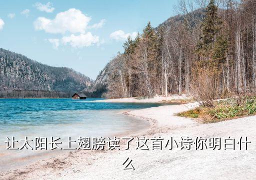 讓太陽長上翅膀，讓太陽長上翅膀讀了這首小詩你明白什么