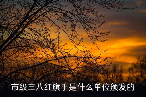 上海市三八紅旗手有哪些，市級(jí)三八紅旗手是什么單位頒發(fā)的