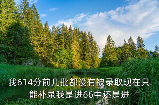 廣州華美國際學校2020招生，我614分前幾批都沒有被錄取現在只能補錄我是進66中還是進
