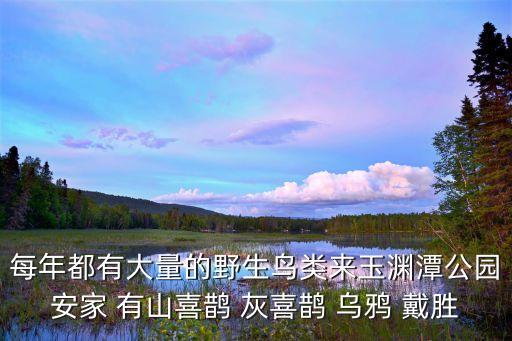 野生鳥類，野生鳥類的名稱