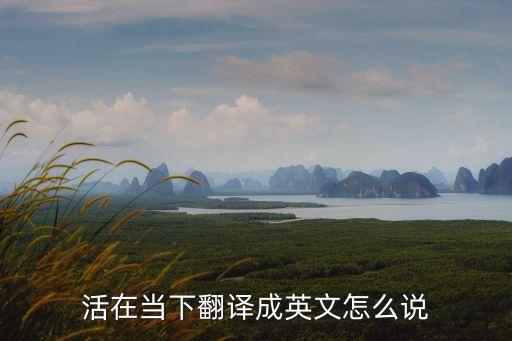 活在當下英語，Live in the presentEnjoy the life這句英文什么意思
