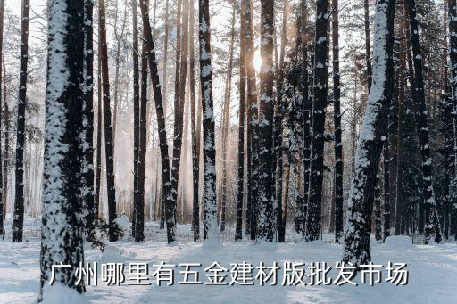 廣州哪里有五金建材版批發(fā)市場
