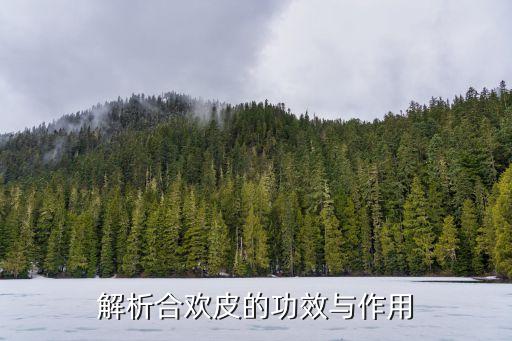 解析合歡皮的功效與作用