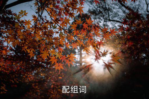 配的成語，配有什么組詞